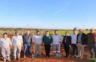 Zeytin Çiftliğinden elde edilecek gelirin tamamı...