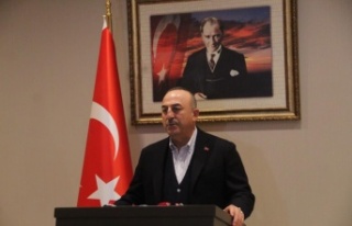 Bakan Çavuşoğlu: "36 ülkeden 3 bin 319 arama...