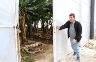 Önce büyütmek, sonra korumak için mesai harcayıp...