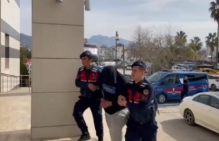 SMA hastası Arya bebeğin bağış kumbarasını...