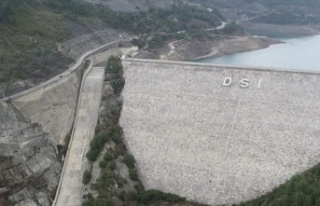 Alanya'dan ülke ekonomisine 231 milyon katkı...