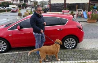 Alman vatandaşı bu kez de köpekle birlikte otomobili...
