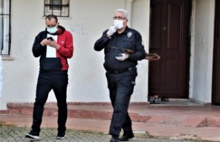 Antalya 5 gündür haber alınamayan adam evinde ölü...