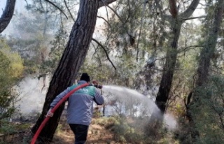 Antalya'daki orman yangını 2 saatte kontrol...