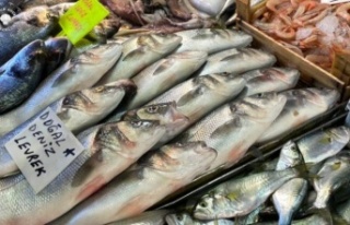 Alanya’da sokakta satılan balık onlarca kişiyi...