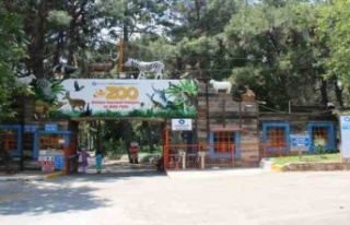 Antalya, ‘Hayvanat Bahçeleri' toplantısına...