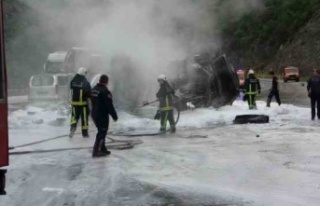 Freni boşalan kimyasal yüklü tır alev alev yandı,...