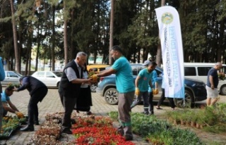 Alanya Belediyesi kurban bayramında ücretsiz 60...