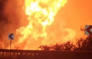 Alanya'da korkutan yangın