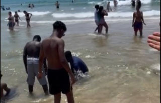 Alanya'daki o plajın konukları işletmeciyi...