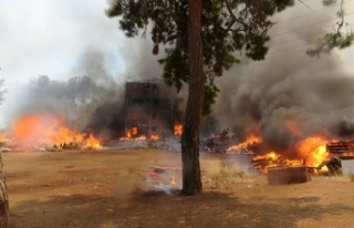 Alanya ve çevresinde yeni yasaklar