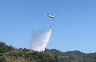 Alanya’da orman yangınına havadan müdahale