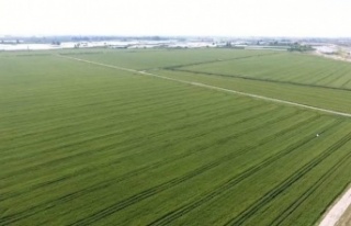 Antalya’da kamu arazilerini kendilerinin gibi gösterip...