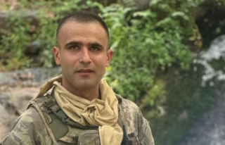 Başın sağ olsun Alanya