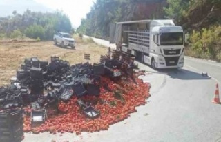 Domates yüklü tırın yükü yan yattı