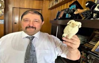 Federasyon başkanından sokakta kıyma çekenlere...