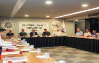 İklim değişikliği zeytini de vurdu