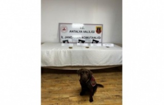 Jandarma narkotik köpeklerinden uyuşturucuya geçit...