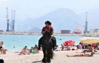 Konyaaltı sahilinin güvenliği Börü ve Winner'e...