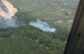 Korkutan orman yangını