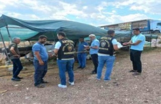 Kurban pazarlarında dolandırıcılık uyarısı