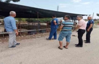 Kurban satış yerlerinde denetim