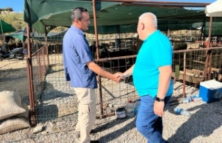 Mehmet Şahin'den kurban pazarı ziyareti