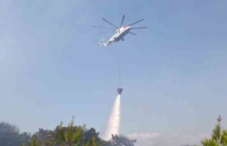 Orman yangını 1 saatte kontrol altına alındı