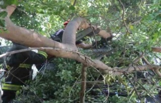 Tatilinin ilk gününde denize girmek için aracını...