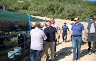 Yücel'den kurban satış alanına ziyaret