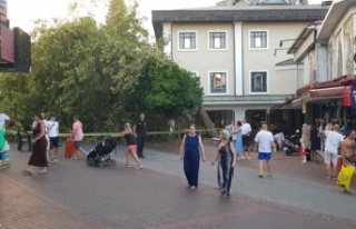 Alanya'da asırlık çınar gövdesinden kırılıp...