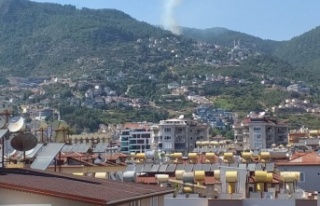 Alanya’da orman yangını! Ekipler sevk edildi