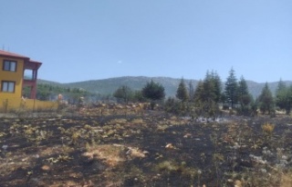 Antalya'da çalılık alanda yangın