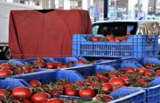 Antalya'da domates miktarı azaldı, fiyat endeksi...