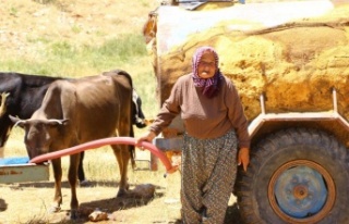 Antalya’nın “Çoban Haritası” çıkartılıyor