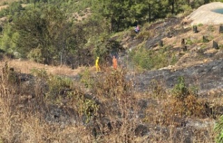 Avokado bahcesi alevlere teslim oldu