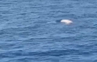 Deniz üzerinde erkek cesedi bulundu