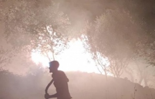 Gazipaşa'da yangın paniği