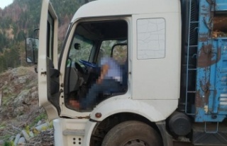 Kamyon sürücüsü direksiyon başında ölü bulundu