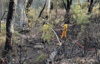 Kaş’taki yangını söndürüp Kemer'de görevlerine...