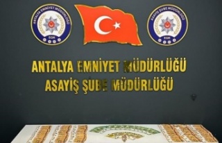 Otel hırsızı yakalandı