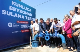 Sulama birliklerinin elektrik maliyetlerinin yüzde...