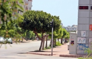 Termometreler 45 dereceyi gösterdi, yağmurdan kaçar...