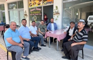 Toklu yayla turuna çıktı