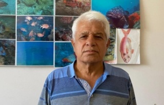 Vatandaşların köpek balığı sanıp taşladığı...