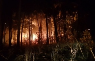 Yangın sabaha kadar sürdü