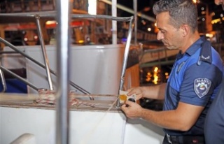 Alanya Belediyesi o tekneleri mühürledi