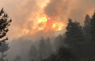 Antalya’da orman yangınına 450 kişilik ekiple...