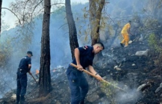 Gazipaşa’daki orman yangını havadan ve karadan...