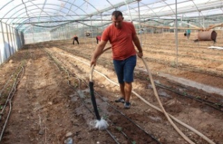 45 bin dekar alanda 130 milyon fidan toprakla buluştu